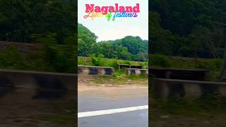 Nagaland Land of festivals nature explore travel nagaland beauty beautiful scenery shorts [upl. by Ongineb750]