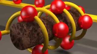 Inductors and Inductance [upl. by Ahsrav790]