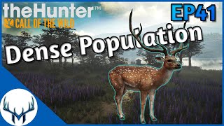 Fresh Start Ep41  theHunter Call of the Wild [upl. by Ethelinda136]