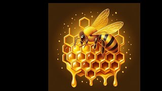 Harvesting Wild Honey SO Satisfying [upl. by Llevra]