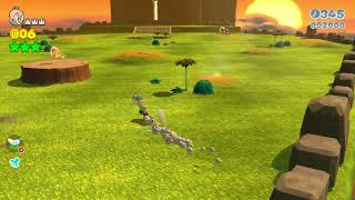 Super Mario 3D World  Sprawling Savannah uses mods [upl. by Fields311]