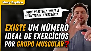 A VERDADE SOBRE O NÚMERO IDEAL DE EXERCÍCIOS POR GRUPO MUSCULAR  Muzy Explica [upl. by Cameron]