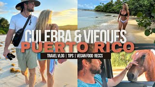 2023 TRAVEL VLOG  Real Talk  Culebra and Vieques Islands in Puerto Rico [upl. by Ydeh]