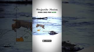 Projectile motion Example Video For Students  Lakshyam Coaching [upl. by Tima]