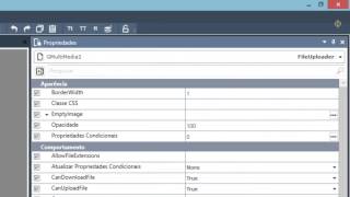 KB47  Telerik Reporting com imagens do banco ou do caminho [upl. by Anhcar]