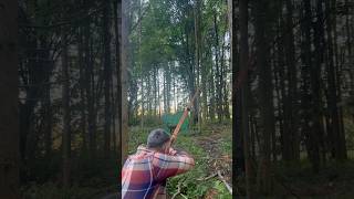 Longbow with wooden arrows on a Buck archery bowhunting outdoors hobby forest [upl. by Rekab256]