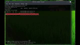 Linux Recover Deleted File With Testdisk [upl. by Ayo341]