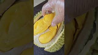 Musang King sebakul RM100  kat kg padang keladi durian tunggal padu oi 😋 [upl. by Letreece595]