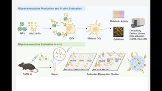 PLGAPEGMal and PLGAFKR648 from PolySciTech used in development of Mucin16 targeted nanoparticles [upl. by Morena757]