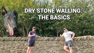 How to build a Dry Stone Wall The Basics [upl. by Nwahsuq]