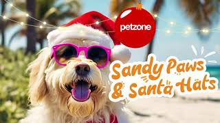 🎄 Festive Fun for All Pets at Petzone 🎁 [upl. by Yrekaz]