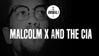 Malcolm X and the CIA ft Don Rojas and Herb Boyd [upl. by Nodnelg493]