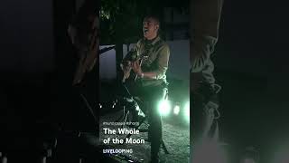 Nuno Casais OneManShow Live Waterboys  Whole of the moon [upl. by Richmound]