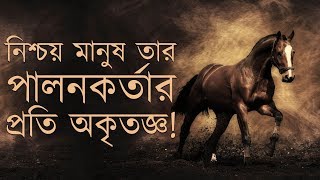 Amazing Recitation of Al Quran Surah AL ADIYAT by Omar Hisham Al Arabi Bangla Subtitle [upl. by Yadsnil]