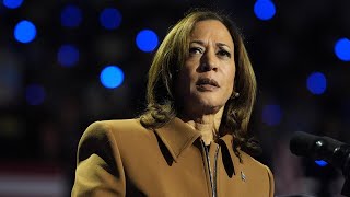 ‘Snowflake’ Kamala Harris freezes after heckler interrupts Michigan rally [upl. by Hurwitz657]