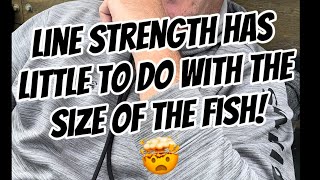 Line strength has little to do with the size of the fish [upl. by Legim424]