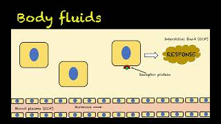 Human Physiology  2  Body Fluids and Compartmentalization [upl. by Eikcid]