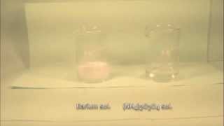 Reaction of barium Solution with Ammonium Oxalate solution [upl. by Ttenaj]