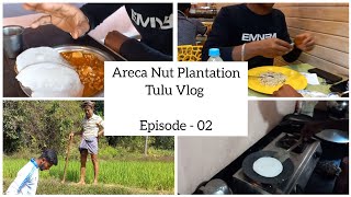 Areca Nut plantation work at Allipade 🌱 Ep  02 Roti making fun ArecanutplantationArecanutfarming [upl. by Seuqirdor]