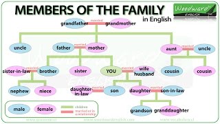 Members of the Family in English  Learn English Vocabulary  Family Tree in English [upl. by Col]