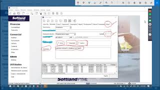 Activos y Diferidos Softland PYME [upl. by Ydroj]