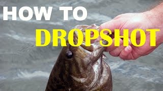 How To Dropshot Fish  Bass Fishing [upl. by Anse]