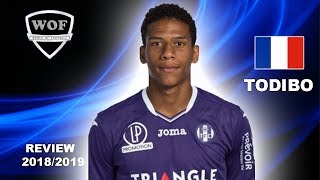 JEANCLAIR TODIBO  Fantastic Goals Skills Assists  Toulouse  20182019 HD [upl. by Kcirad737]