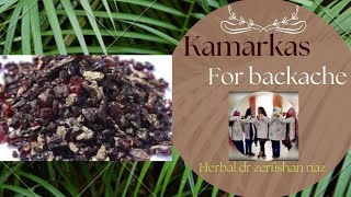 Uses and Benefits of Kamarkas  Butea Frondosa  Palas gond  Dhaak gond [upl. by Nimzay]