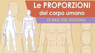 Le basi del disegno  1 le proporzioni del corpo umano [upl. by Assenej703]