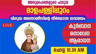 5 NOVEMBER 2024  HOLY MASS  ST ANTONYS PILGRIM CHURCH MALAPALLIPURAM [upl. by Phebe453]