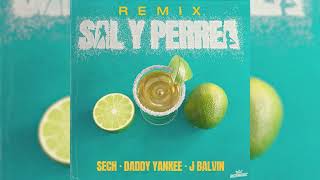 Sech Daddy Yankee J Balvin  Sal y Perrea Remix Audio Oficial [upl. by Oigaib]