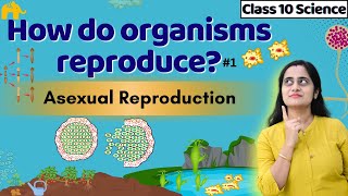 How do Organisms reproduce Class 10th CBSE  Part 1  Asexual Reproduction  NCERT Chapter 7 [upl. by Yesnil]