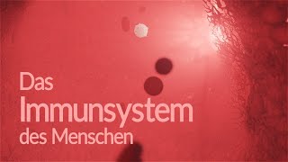 Das menschliche Immunsystem – Struktur und Funktion [upl. by Ahola873]