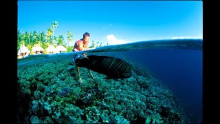 Surf Travel  Tuamotu Islands [upl. by Sandor]