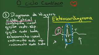 O Ciclo Cardíaco  Resumo  Fisiologia [upl. by Nomannic139]