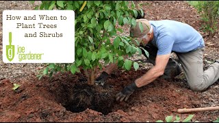 How and When to Plant Trees and Shrubs [upl. by Hubert]