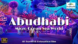 4K TRAVEL HD  MICRO OCEAN IN SEA WORLD YAS ISLAND ABU DHABI 2024  FULL TOUR OF MICRO OCEAN [upl. by Kcolttam]