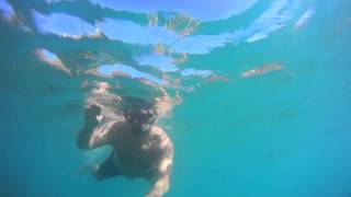 Lanzarote  Papagayo Beaches  Snorkeling Free diving [upl. by Reeher]