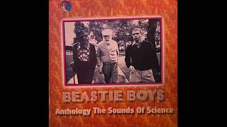 Beastie Boys  Root Down  The Sounds Of Science CD  Pirate Booty [upl. by Evadnee]