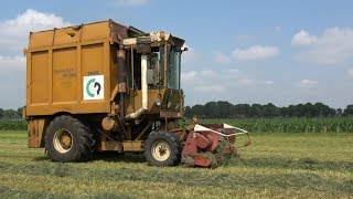 Oldtimer gras hakselen bij Trekkertrek Heemserveen deel 23 2018 [upl. by Ardnovahs917]