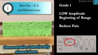 Maitland Mobilization Grading  A Visual Aid [upl. by Lovato]