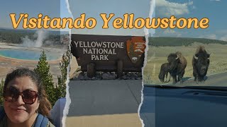 Visitando el Parque Nacional de Yellowstone [upl. by Ecnedurp]