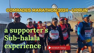 COMRADES MARATHON 2024  UPRUN  a supporters Subhalala experience [upl. by Adikam]