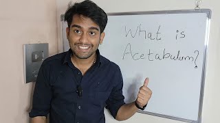 Learn What is Acetabulum   Acetabulum  The Hip Joints Crucial Part  in Biology [upl. by Sitrik]