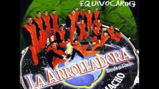 VIEJITAS DE LA ARROLLADORA BANDA EL LIMON DE RENE CAMACHO [upl. by Suiraj365]