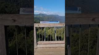 Skywalk  Dorrigo National Park dorrigo scenery rainforest [upl. by Mohkos306]