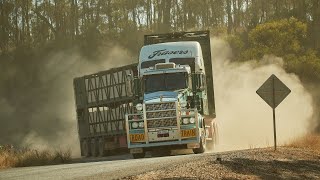 Life as an outback cattle transporter  Frasers Transport [upl. by Anileve]