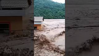 today big size flood coming 🌧️🌧️youtubeshorts shorts flood nature video [upl. by Attenohs64]