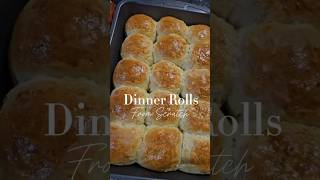 Dinner Rolls from Scratch [upl. by Rambort594]