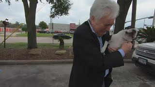 Owner reunited with dog that was stolen from his car in Spring [upl. by Sioux179]